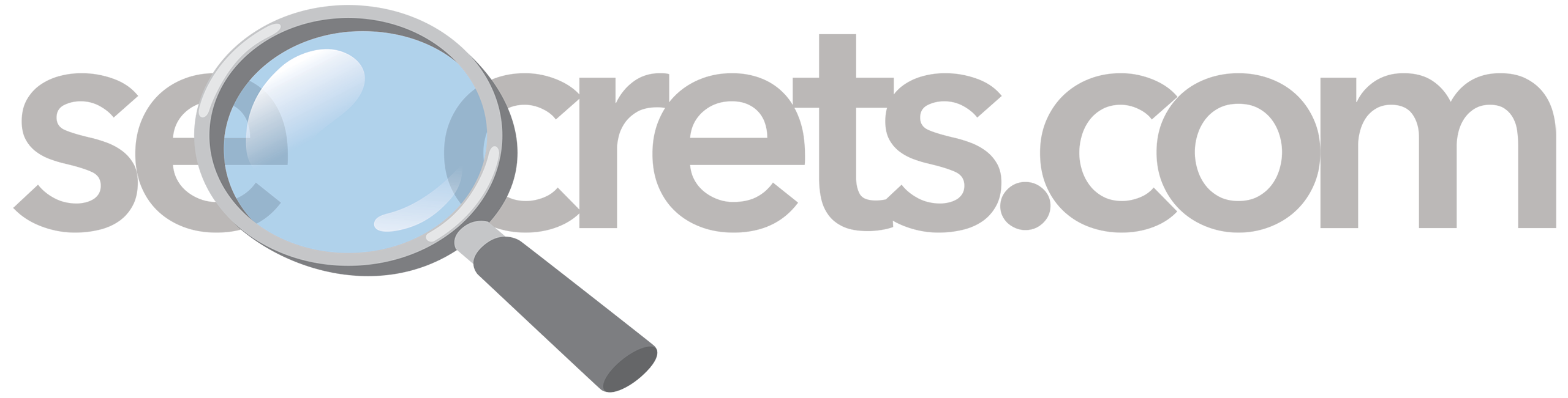 seOcrets.com logo